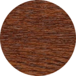 Salamander Nuc Nussbaum 21